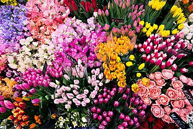 Xbox第一方游戏《午夜之南》前瞻报道即将到来